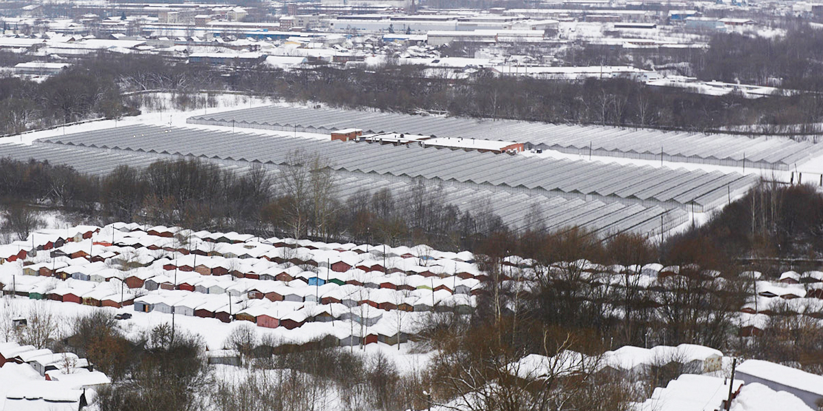 10 удивительных фактов из истории комбината «Тепличный»