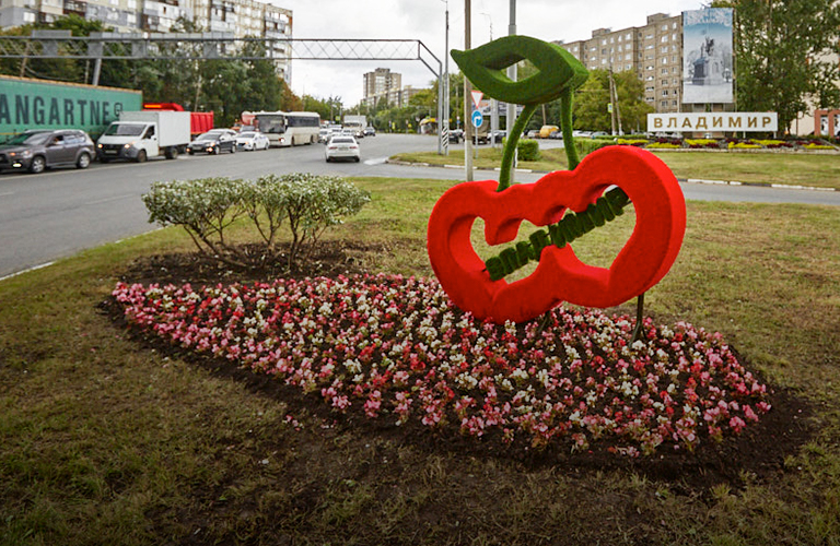 С клячугами и щипухами: лукошко фактов о Владимирской вишне