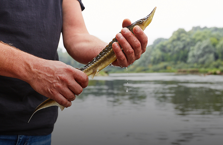 Кто и зачем выпускает «динозавров» в Клязьму?