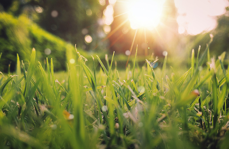 Какими будут лето и погода в ближайшие выходные