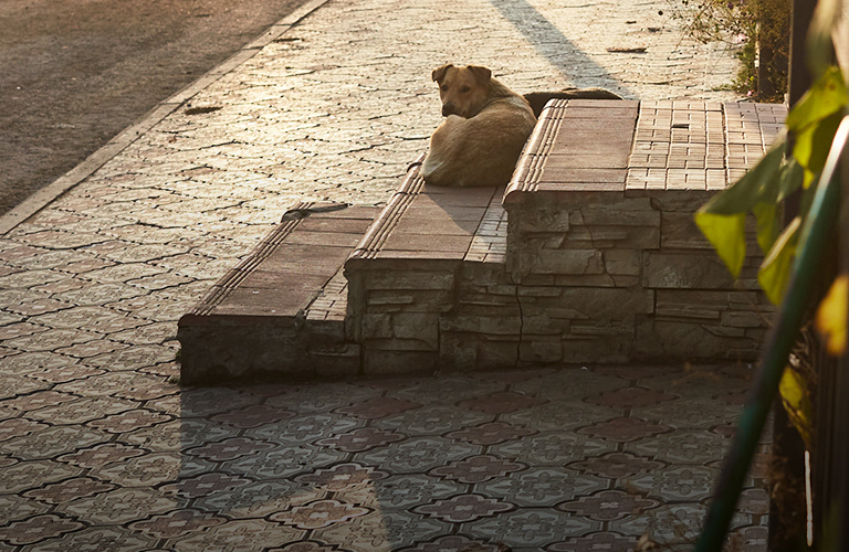 Когда во Владимирской области наступит климатическое лето?