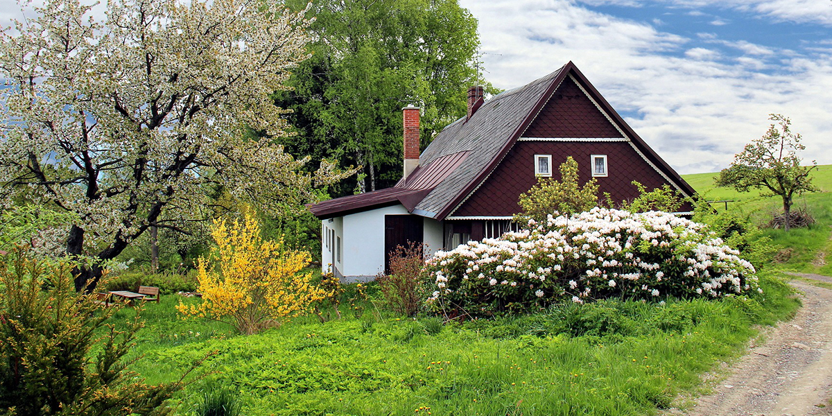 Жительница Струнино, выигравшая в лотерею загородный дом, взяла приз деньгами