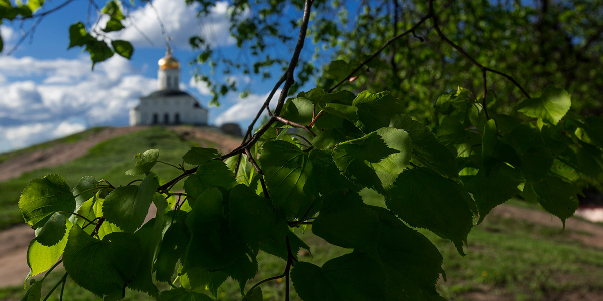 Владимир - лучший город России? Спрашиваем у иностранцев