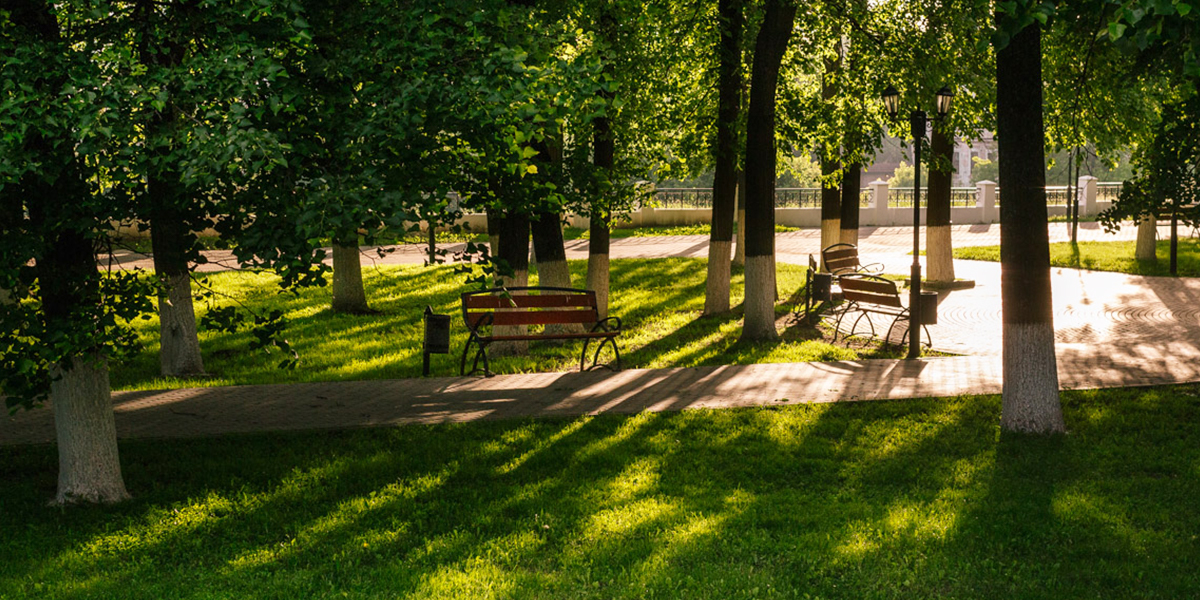 Жара во Владимире бьет все рекорды: когда же она спадет?