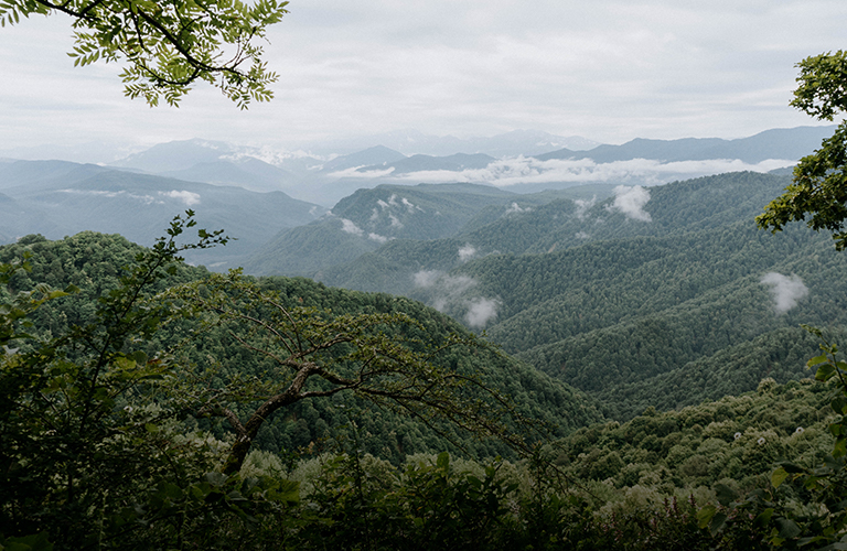 Путешествуем со скидками! Стартует новый этап туристического кешбэка