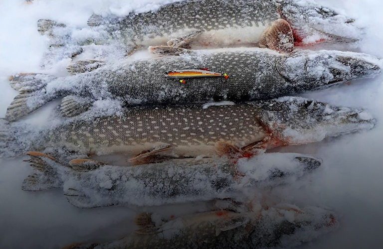 Особенности зимней охоты и рыбалки: важные нюансы и советы местных знатоков