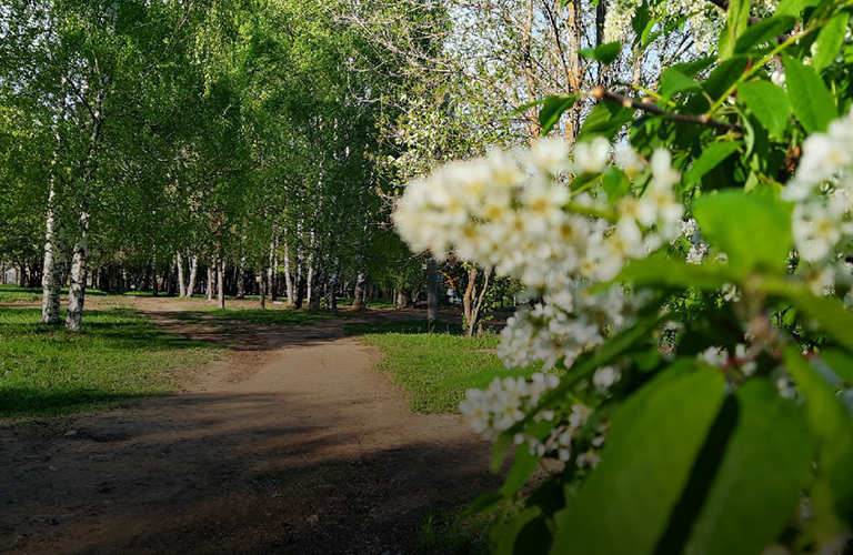 «Добросельский»-2022: итоги онлайн-голосования