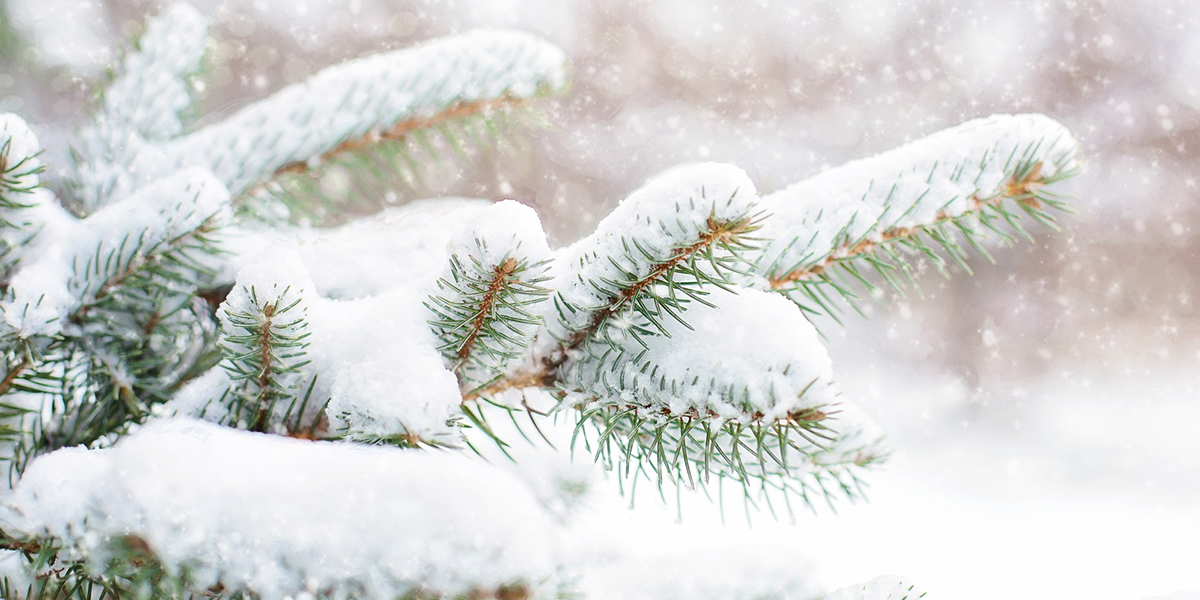 На город нацелились снежный циклон и радиационное охлаждение