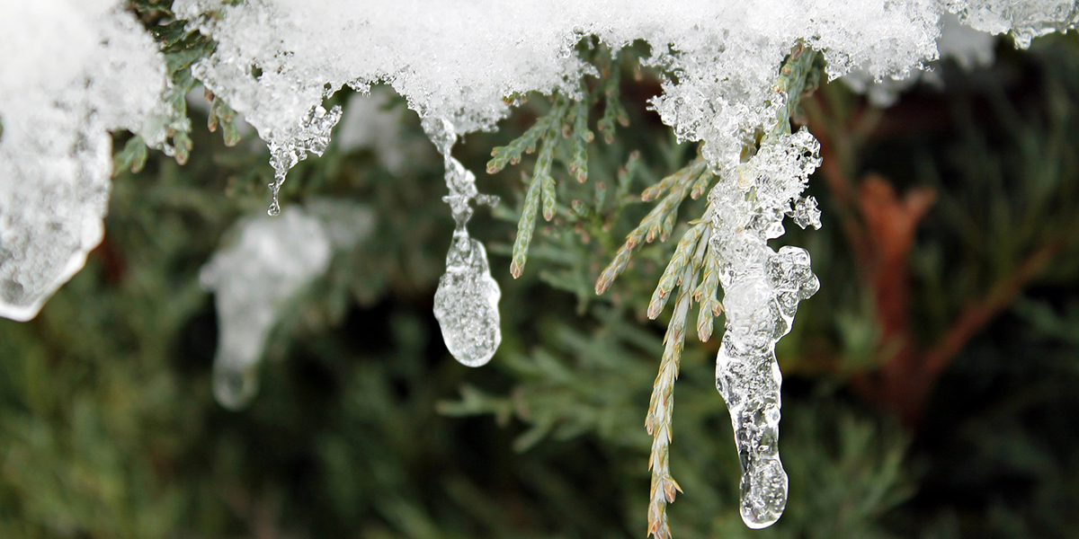 Неожиданное завершение зимы: аномальные морозы сменятся рекордной оттепелью