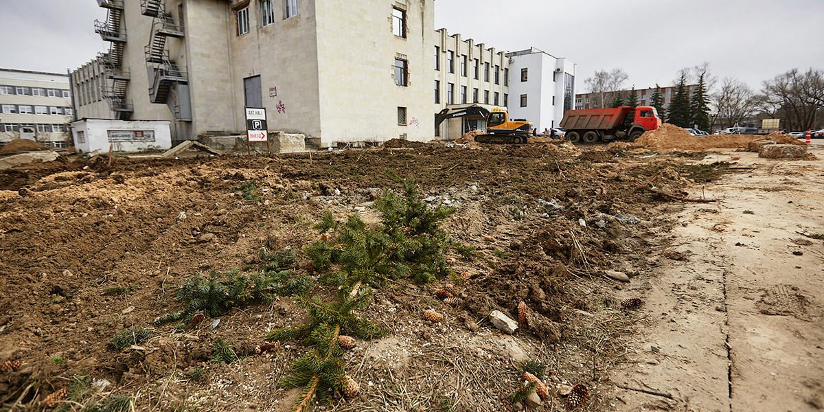 Были елки, остались иголки. Три здоровых дерева возле Art Hall, вероятно, срубили ради парковки