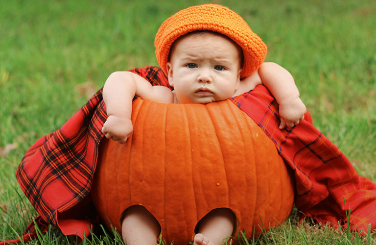 Кулинарный ответ: Что делать с тыквой после Хэллоуина