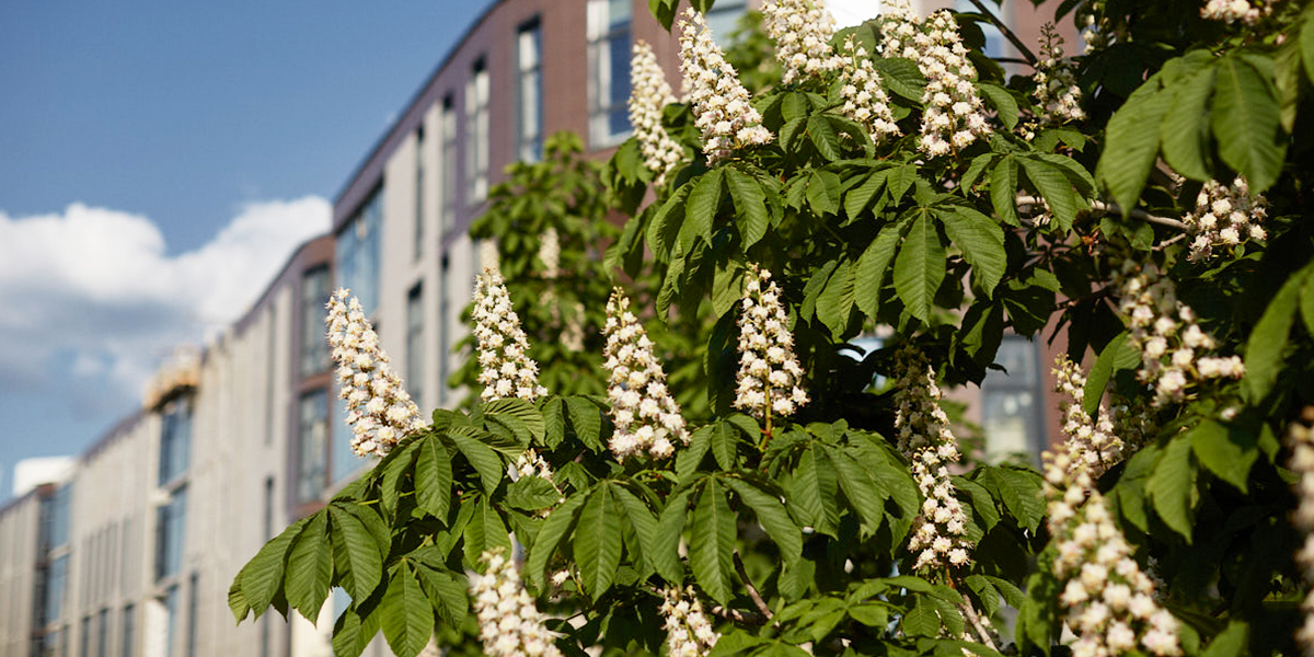 После арктического нашествия в 33-м регионе грядет долгожданное потепление