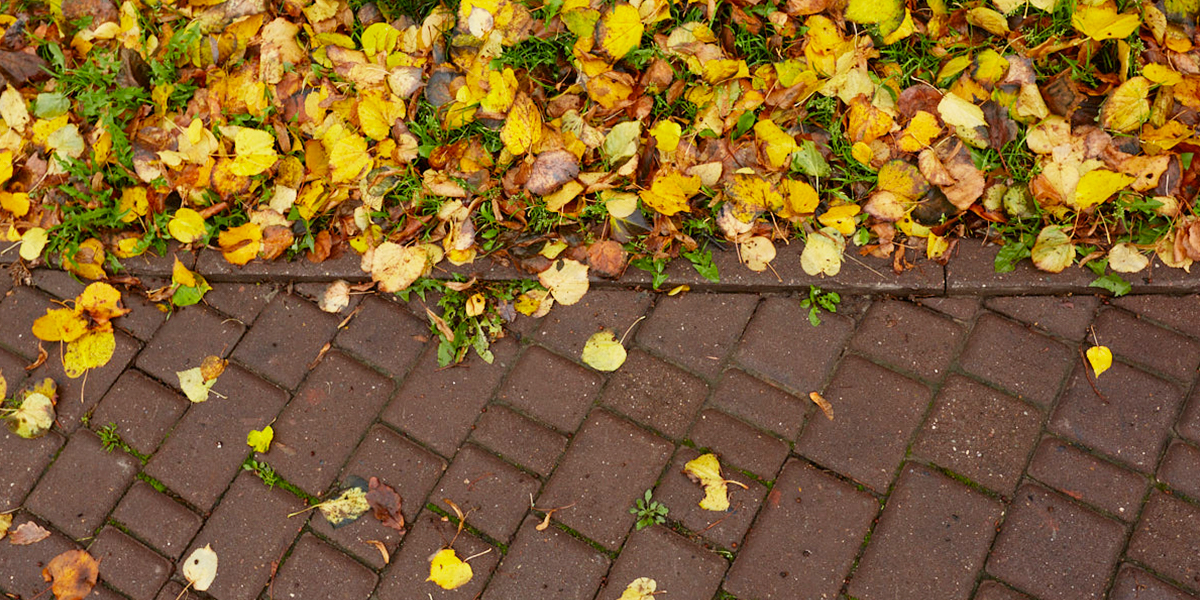 Октябрь уходит с улыбкой: последняя декада нарисует на градусниках двузначные цифры