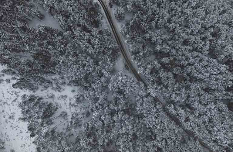 Экопарковки, “разгрузка” Горького и пересмотр планов по М-12