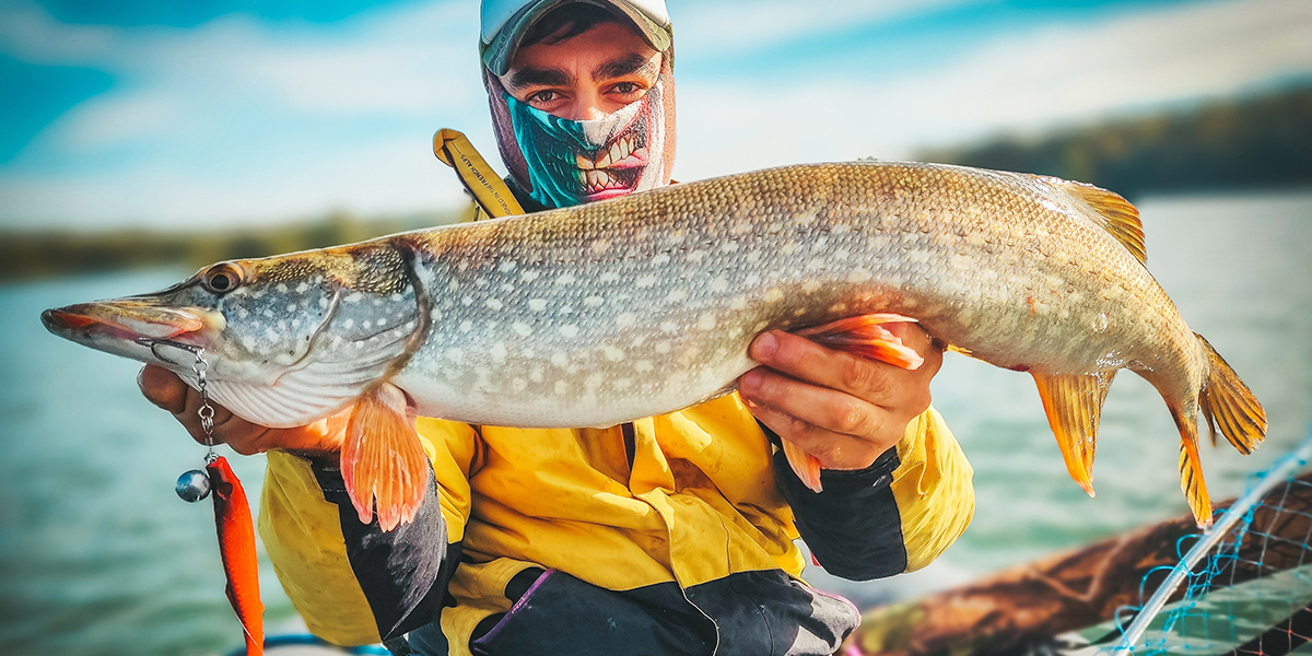 «Вот это щука!» Клязьма радует владимирских рыбаков богатым уловом