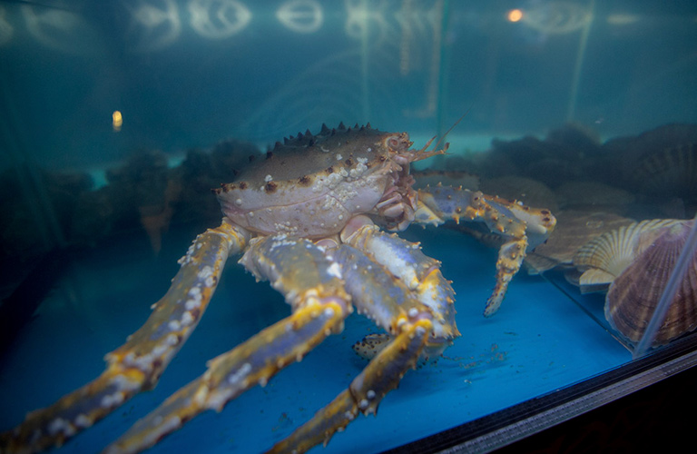 «Кабуки 2.0»: чем удивляет паназиатский ресторан после глобального обновления