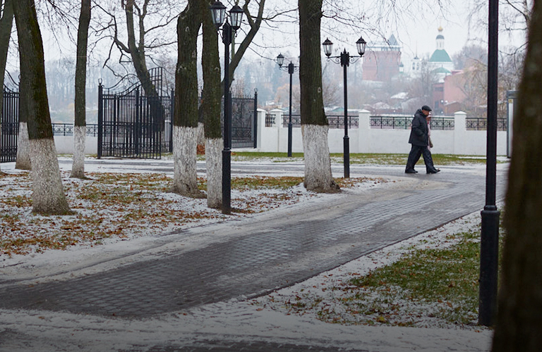 В раздумьях и с тростью. Летом во Владимире установят памятник великому русскому поэту