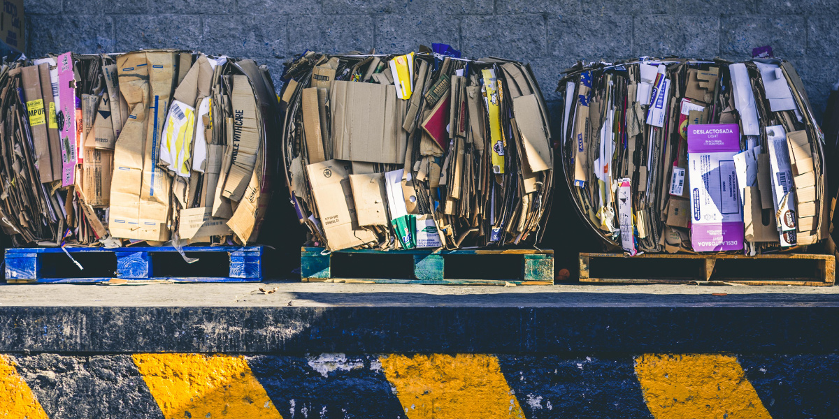 Контейнеры для раздельного сбора мусора исчезли. Что дальше?