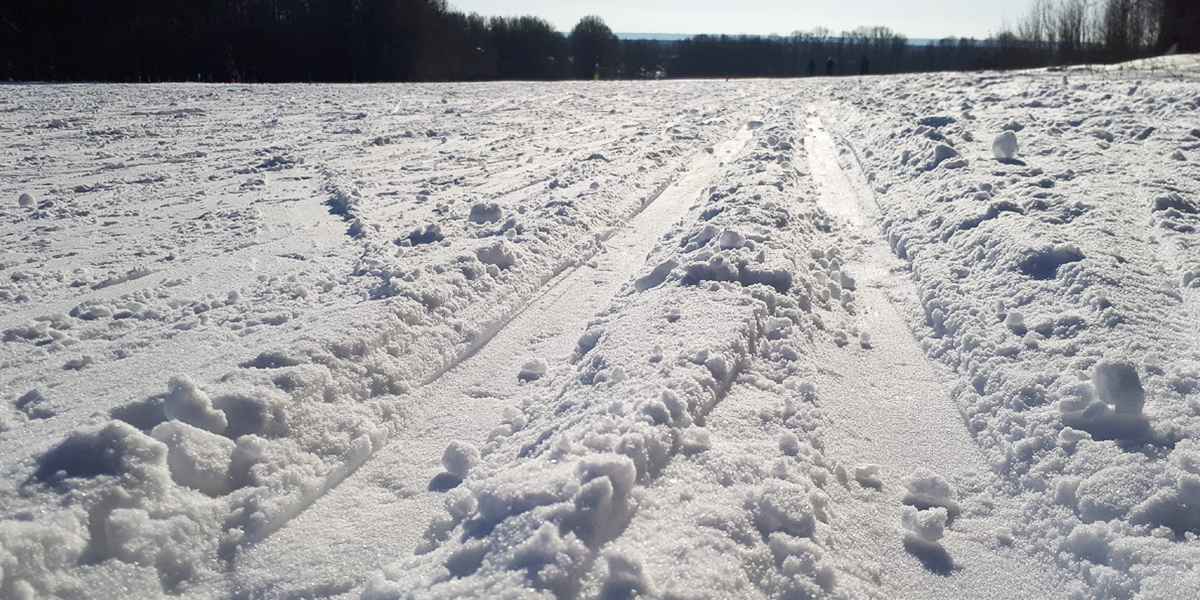 Что ждет лыжероллерную трассу в парке «Дружба»?