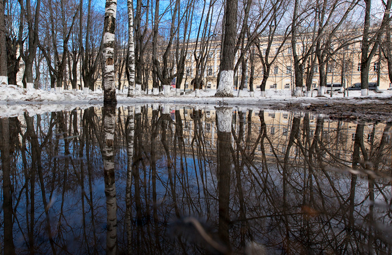 Лужи, ящерки, цветы: в объективе – весенний 33-й регион
