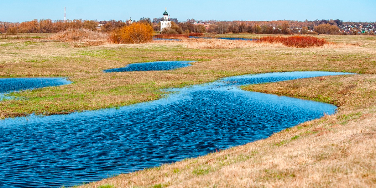Неожиданные лоты! В 33-м регионе продают часть Боголюбовского луга и воздушный корабль