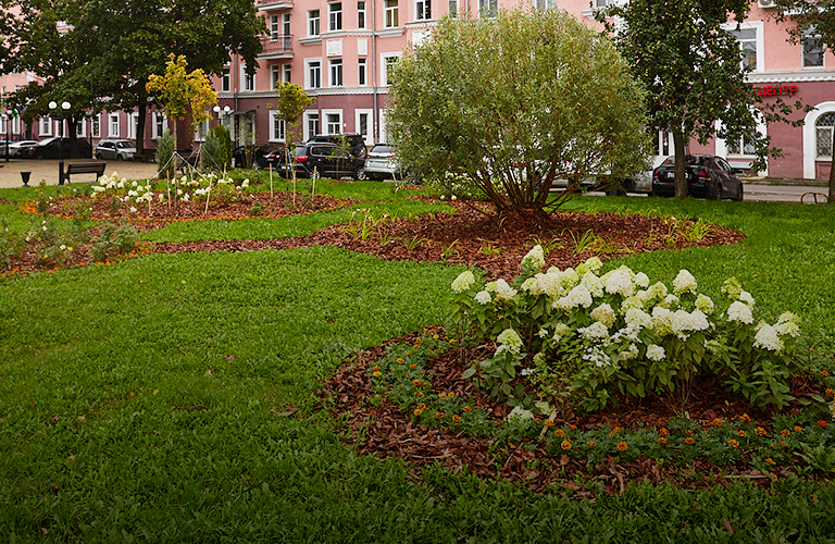 В Андриановском сквере появились клумбы-медали, а зону отдыха в Юрьевце озеленили
