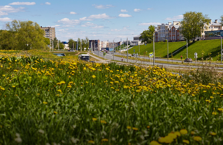 Лето, ах, лето! Чем порадует погода в июне жителей 33-го региона