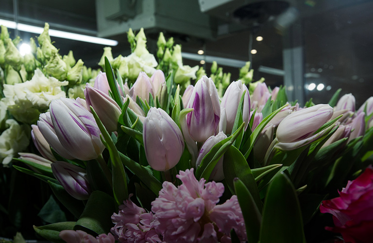 Новый цветочный в спальном районе: экзотика против проверенной классики