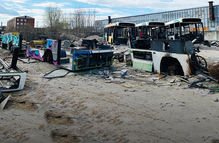 «Кладбище» автобусов и секс-шоп в чистом поле: топ неожиданных находок во Владимирской области