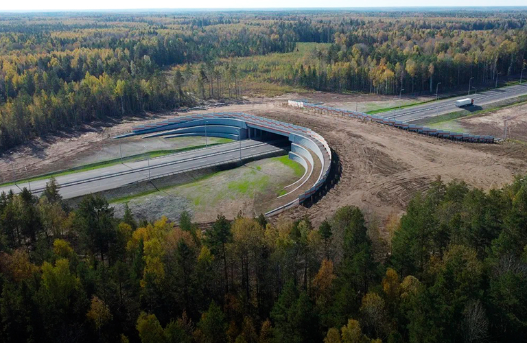 Экодук над скоростной трассой. Первый в области переход для диких животных