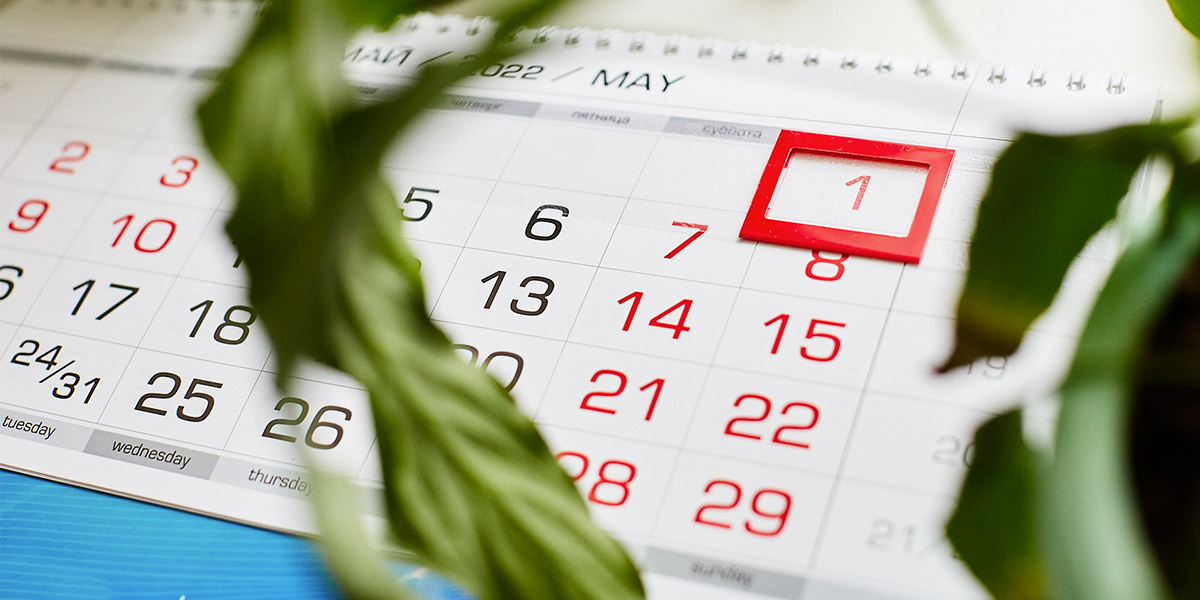 Впереди майские праздники: сколько будем отдыхать и куда можно поехать?