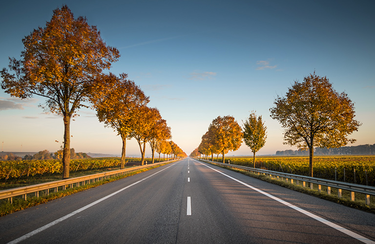 Эх, заживем! Список предновогодних обещаний жителям 33-го региона