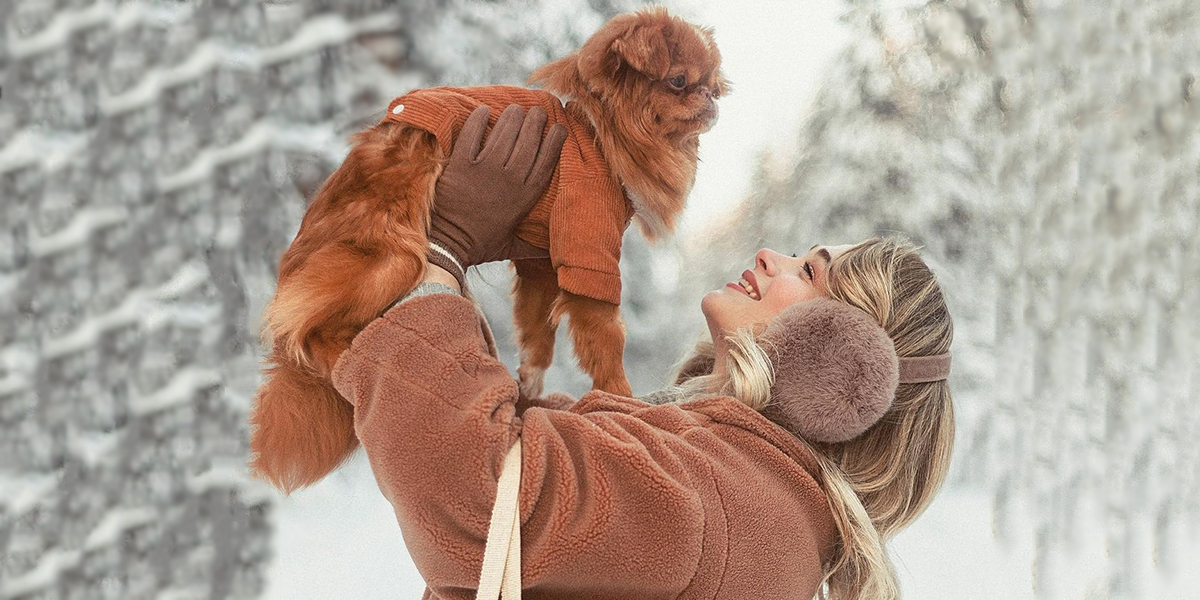 Санта-Саманта и другие очаровательные пёсели в обзоре снимков владимирцев с любимыми питомцами