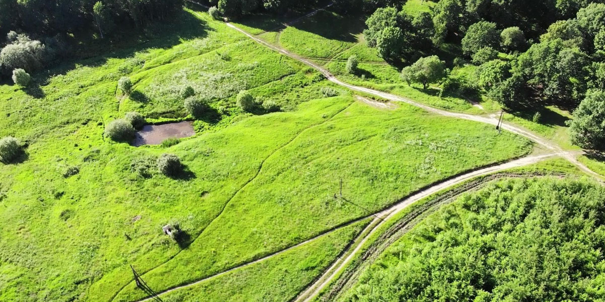 Убрали мусор и спасли карасей. В парке “Дружба” наводят порядок