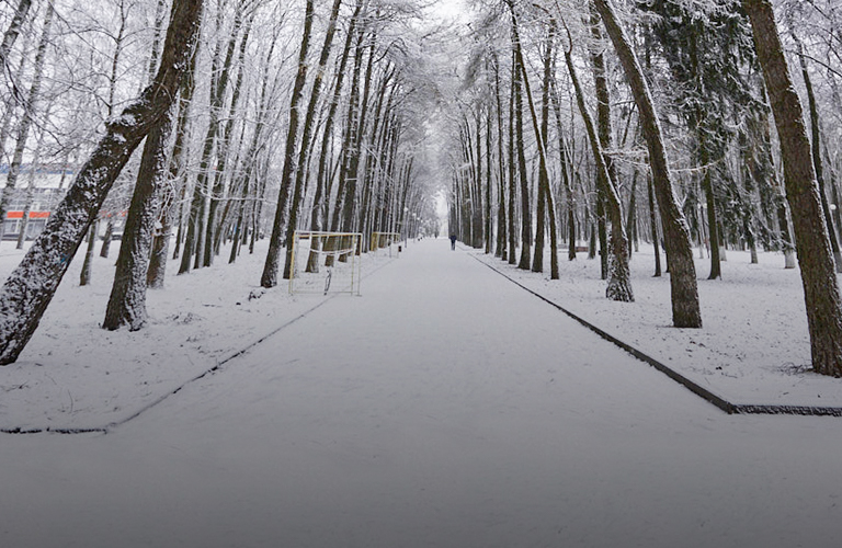 Сугробы вырастут, а температура упадет. Синоптик анонсировал три волны холода в декабре