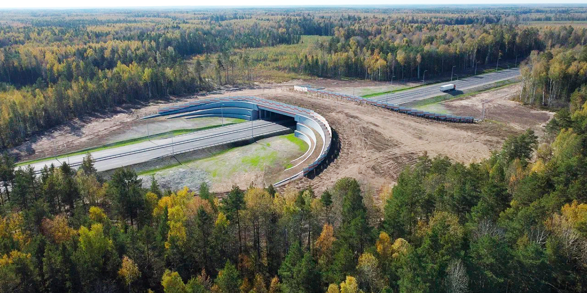 Экодук над скоростной трассой. Первый в области переход для диких животных