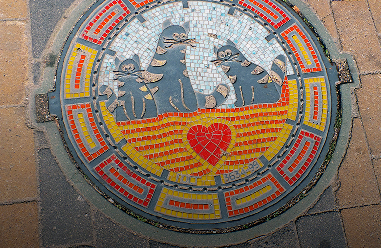 Чудо под ногами: фотоколлекция люков из разных городов владимирского архитектора