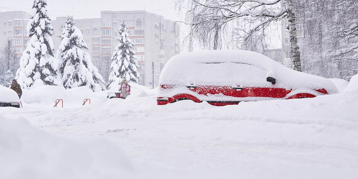 Сугробы веселью не помеха, или Как развлекаются владимирцы в снежном плену