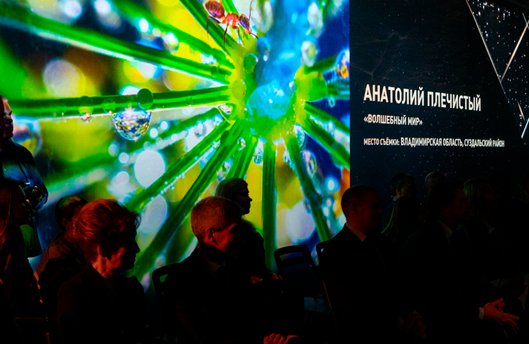 «Волшебный мир». Работа владимирца в списке лучших фотографий России