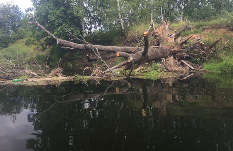 Личный опыт: Сплавляемся по реке Судогда на байдарке