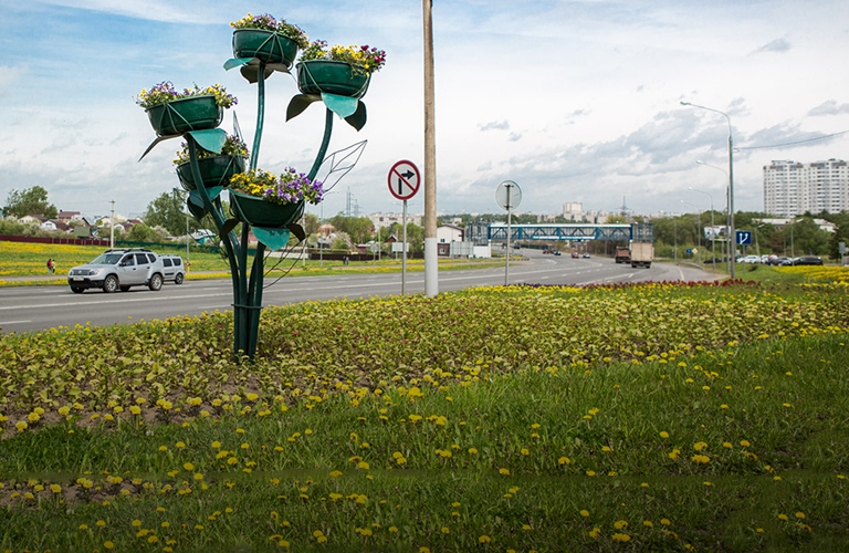 250 тысяч цветов, новые досуговые площадки и другие живописные преображения города