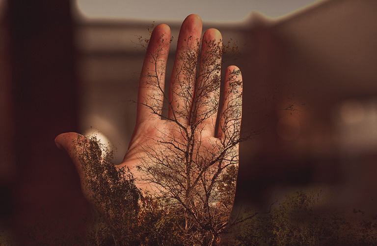 Жизнь в стиле eco-friendly