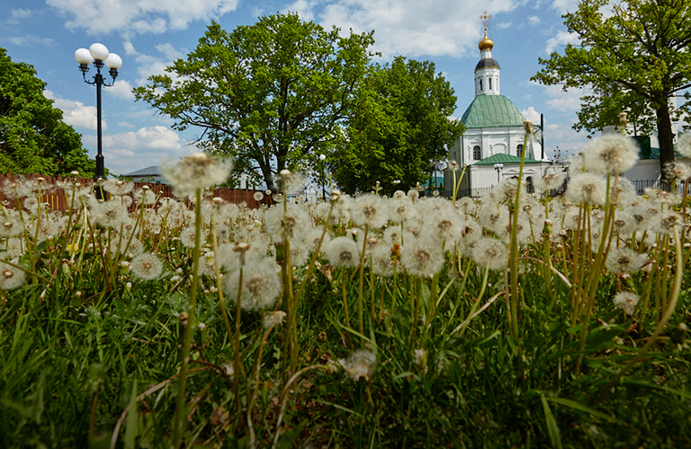 Станет ли пылкий финиш мая во Владимирской области гарантией аномально жаркого лета?