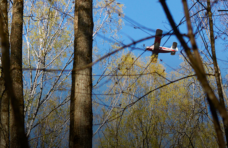 Новые самолеты, взлетно-посадочная полоса и не только: как преобразят аэропорт «Семязино»