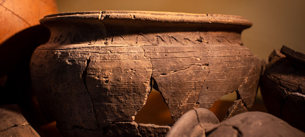 Находки года владимирских археологов: Ожидание и реальность