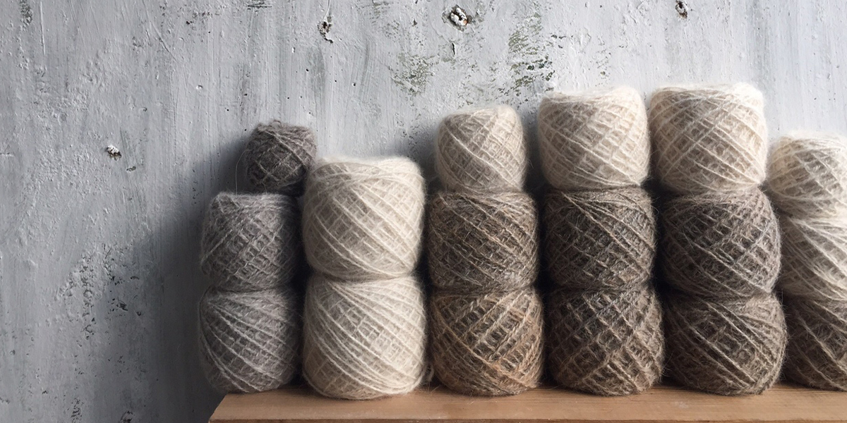 Из шерсти питомцев «Дома северной собаки» создали коллекцию одежды