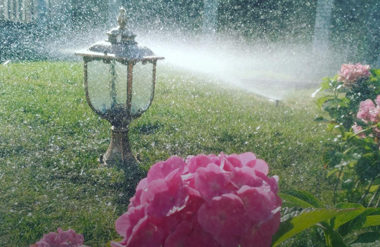 Дача на миллион. Тренды и антитренды ландшафтного дизайна во Владимире