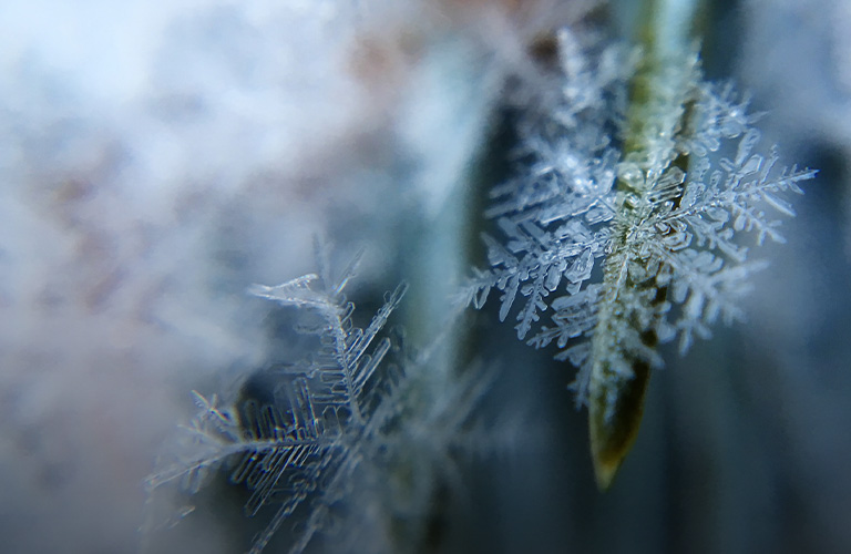 Зима наступает! Владимирцев ждут мороз и солнце
