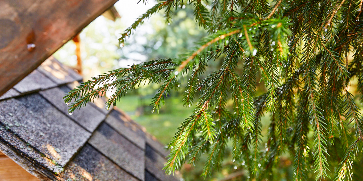 Майские выходные в зоне риска? Какая погода ждет владимирцев в праздничные дни и после них