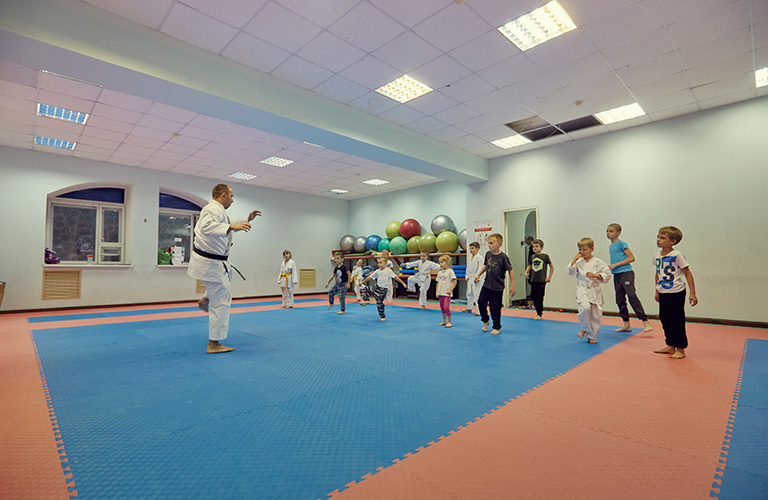 Японское каратэ, или Владимирская адаптация классического боевого искусства